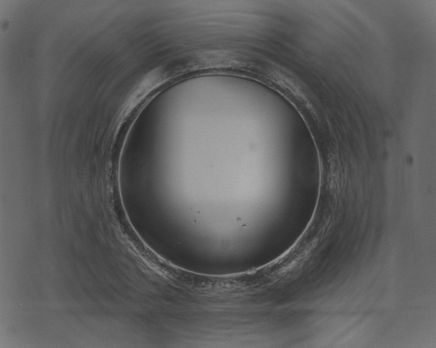 X0000070860786200606231252