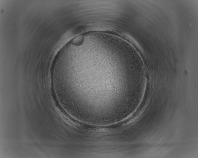 X0000070860787200606231252