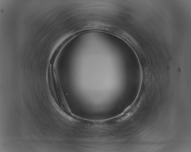 X0000070860788200606231252