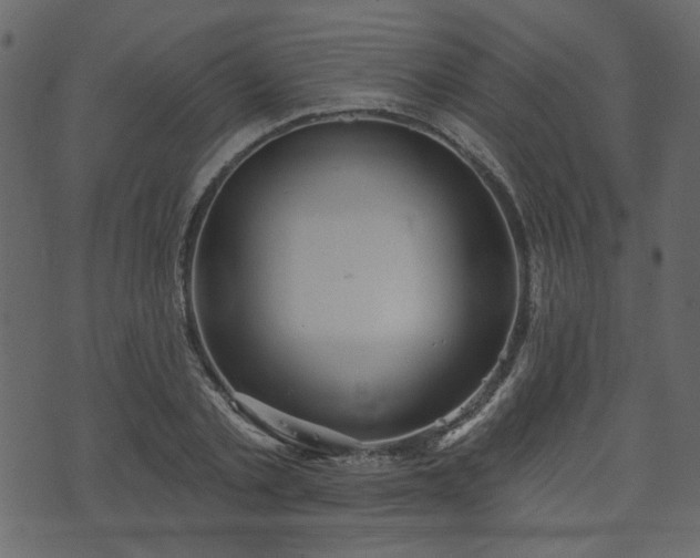 X0000070860789200606231252