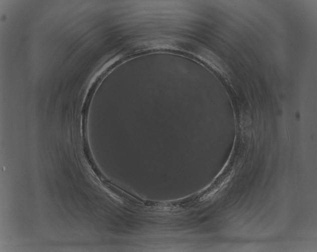 X0000070860790200606231252