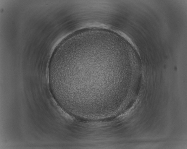 X0000070860791200606231252