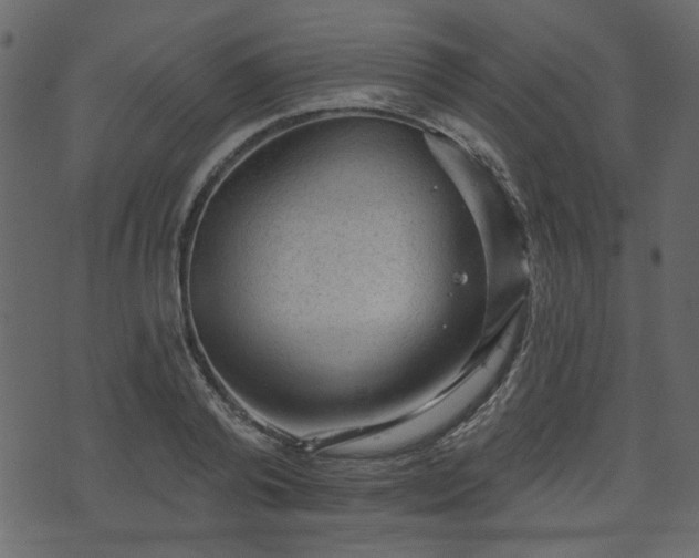 X0000070860792200606231251