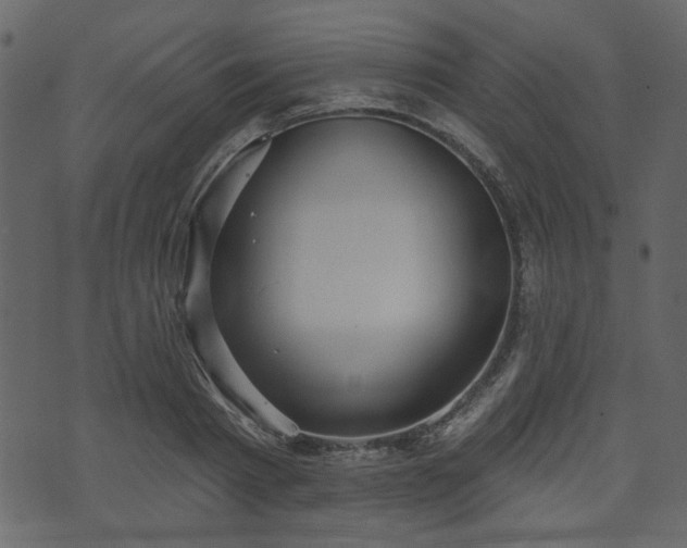 X0000070860793200606231251