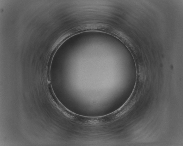 X0000070860794200606231251