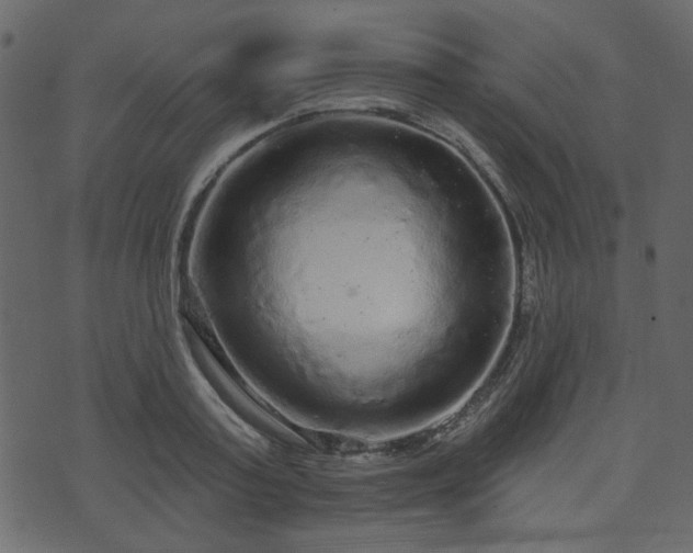 X0000070860795200606231251