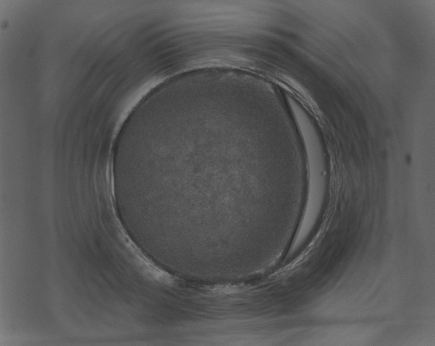 X0000070860796200606231251