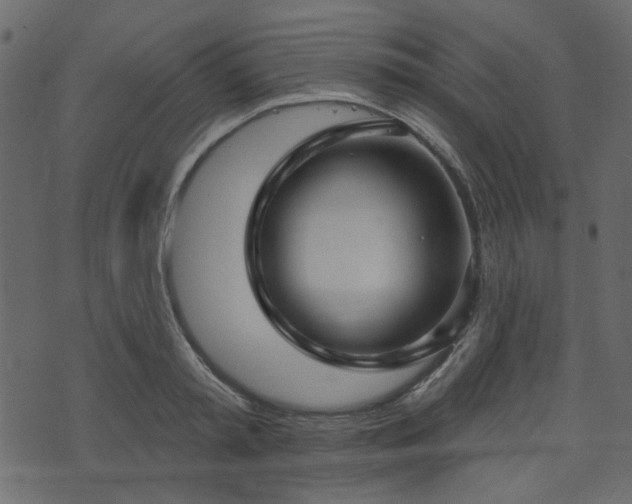 X0000070860797200606231251