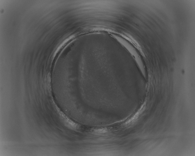 X0000070860798200606231251