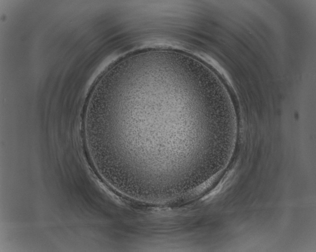 X0000070860799200606231251