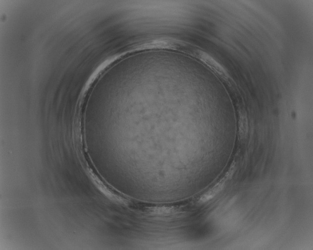 X0000070860800200606231251