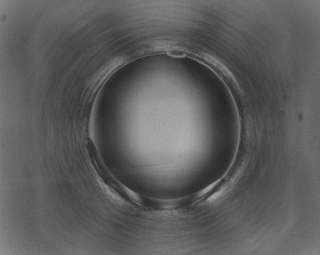 X0000070860801200606231251