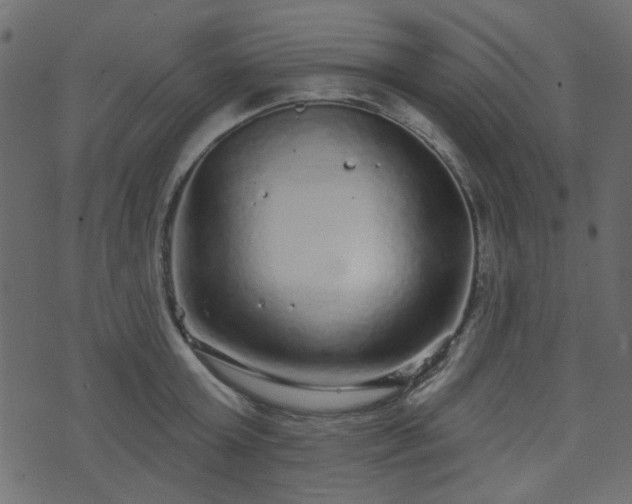 X0000070860803200606231251