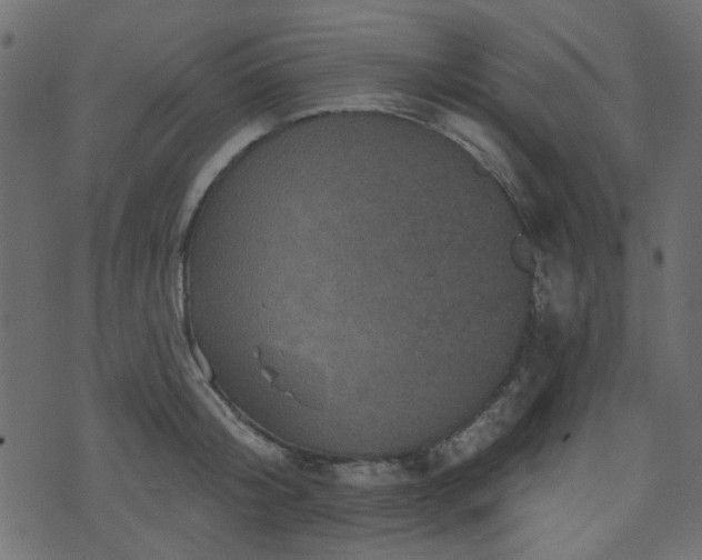 X0000070860804200606231251