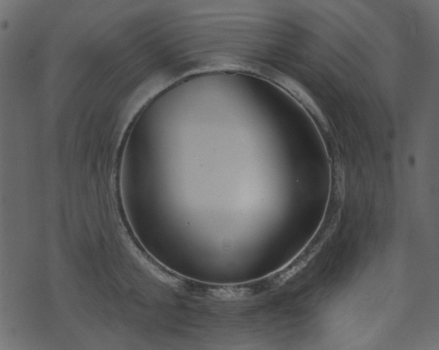 X0000070860805200606231251