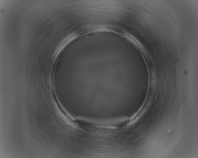 X0000070860806200606231251