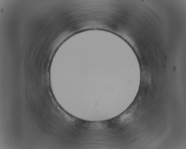 X0000070860807200606231251