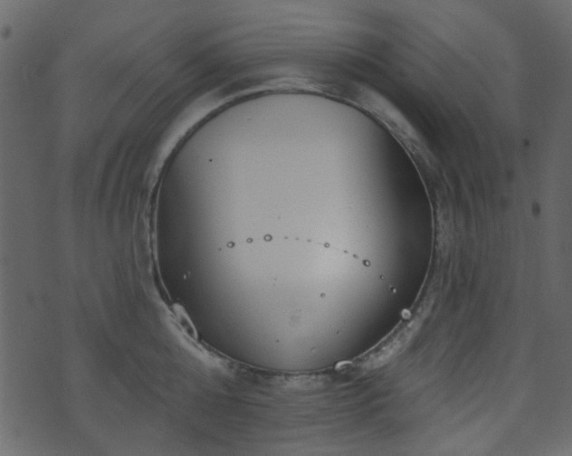 X0000070860808200606231251