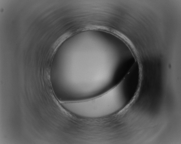 X0000070860809200606231251