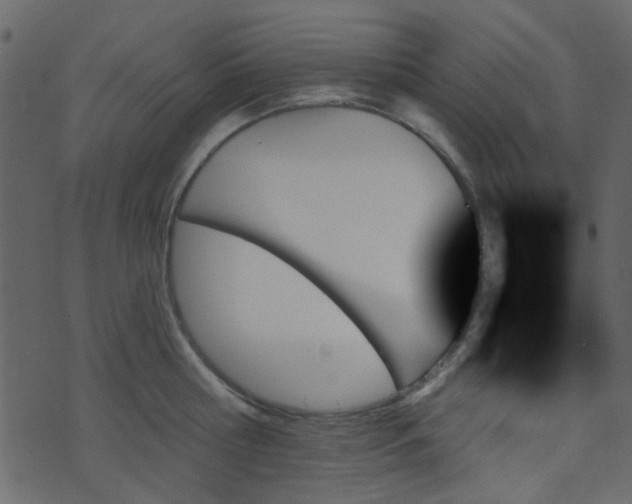 X0000070860810200606231251