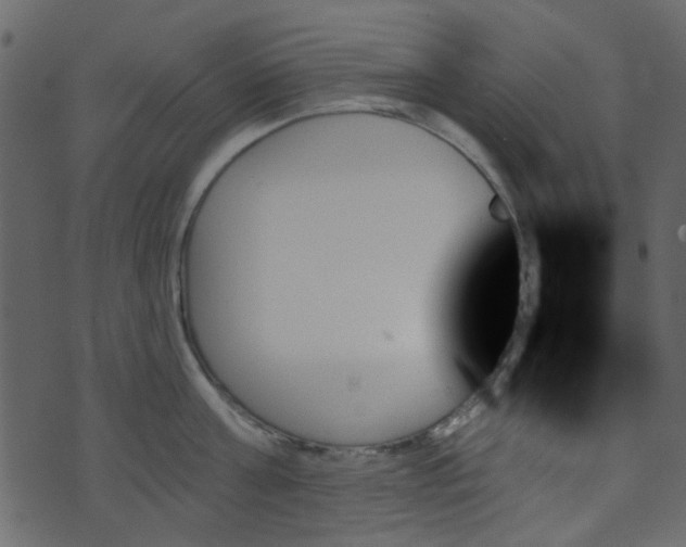 X0000070860811200606231251