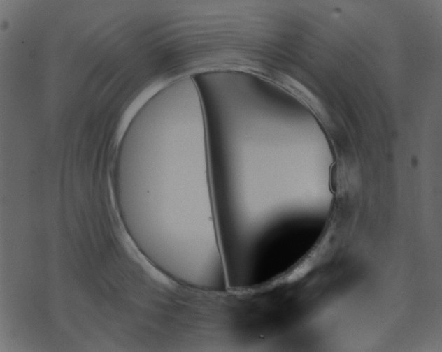 X0000070860812200606231251