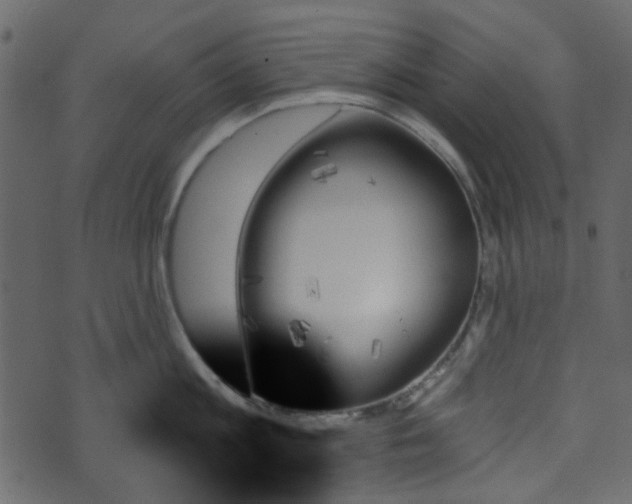 X0000070860813200606231251