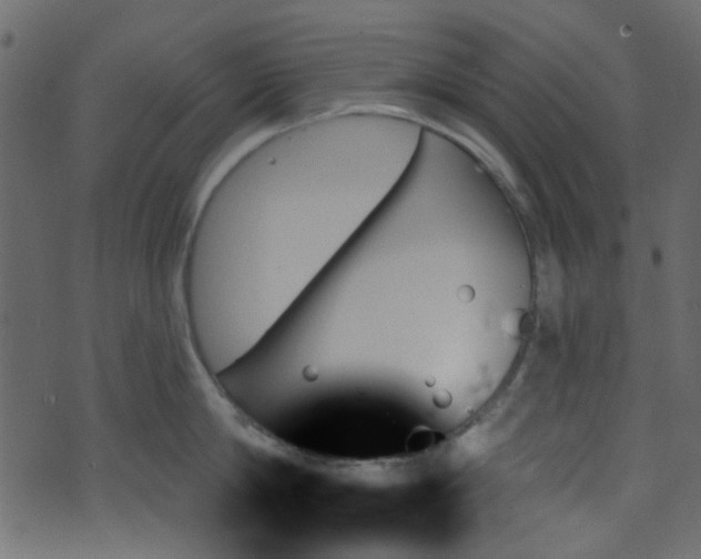 X0000070860814200606231251