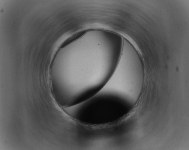 X0000070860815200606231251