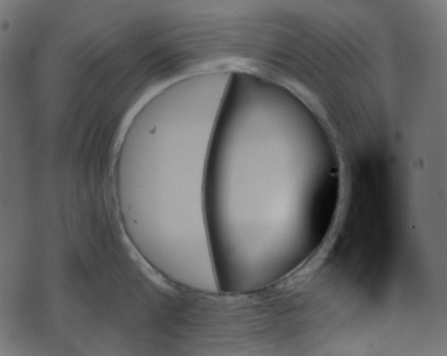 X0000070860816200606231251