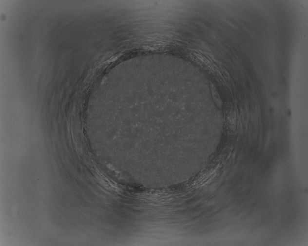 X0000070860817200606231250