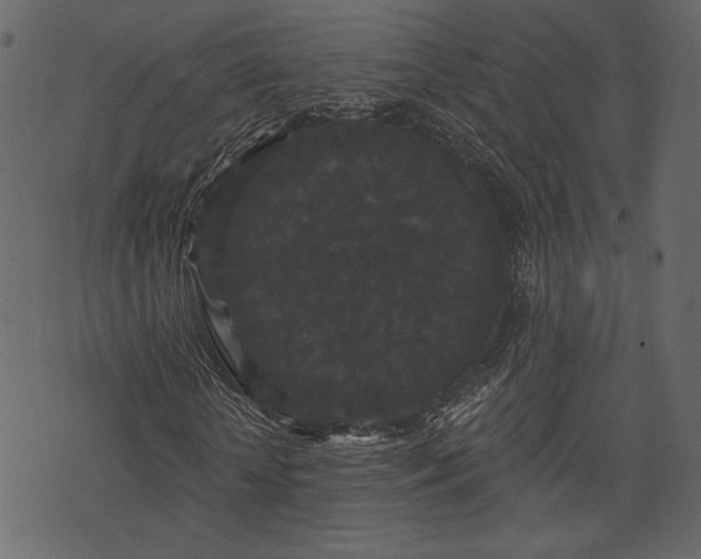 X0000070860818200606231250