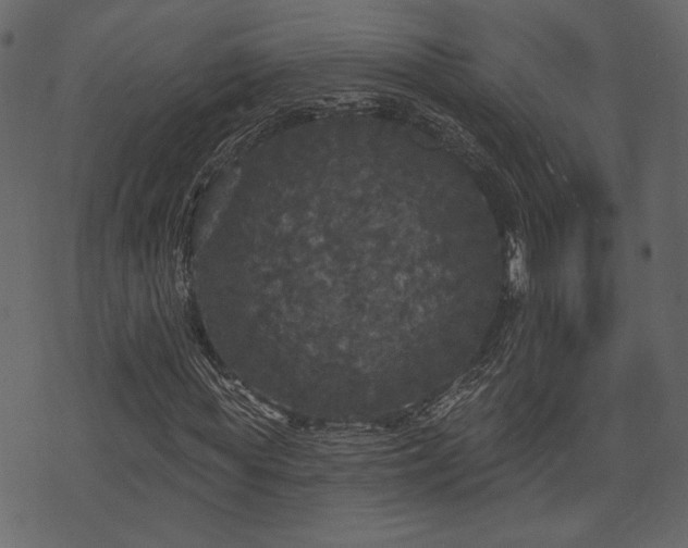 X0000070860819200606231250