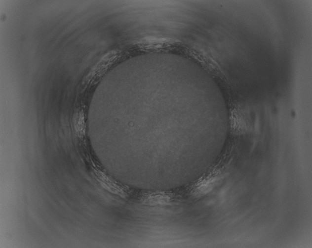 X0000070860820200606231250