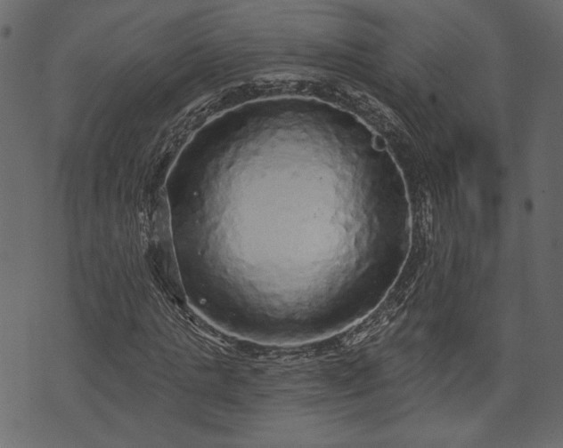 X0000070860821200606231250