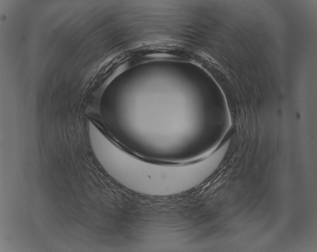 X0000070860822200606231250