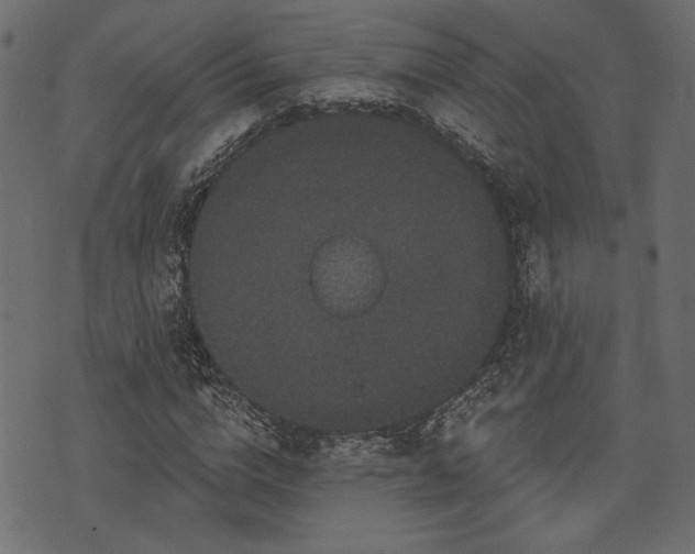 X0000070860824200606231250