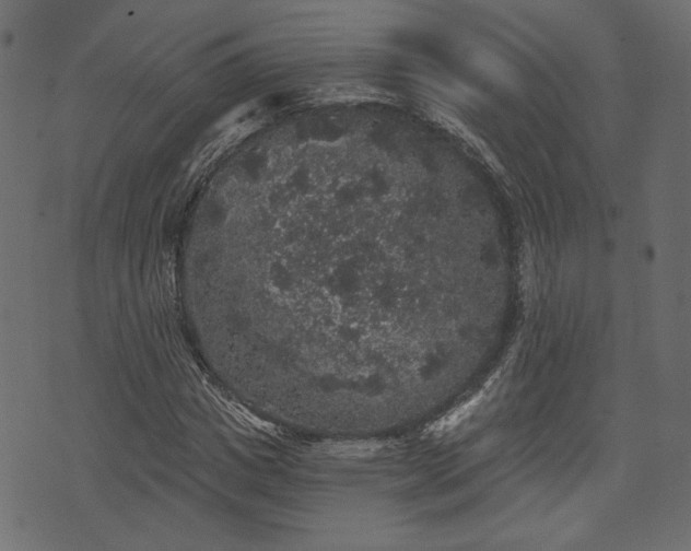 X0000070860825200606231250