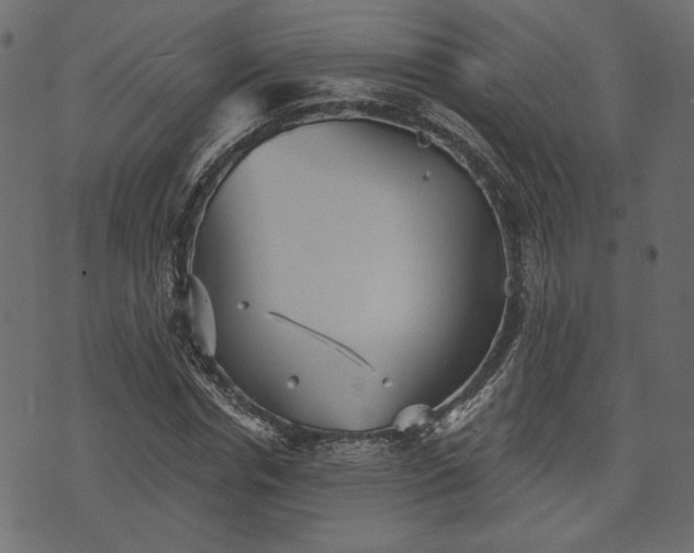 X0000070860826200606231250