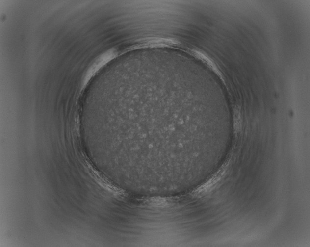 X0000070860827200606231250