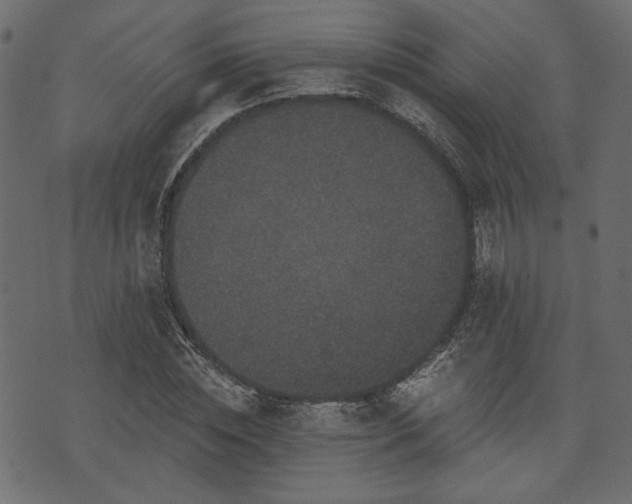 X0000070860828200606231251