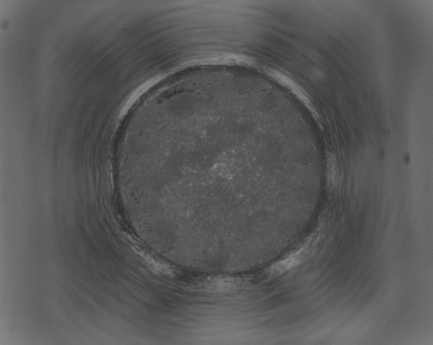 X0000070860829200606231251