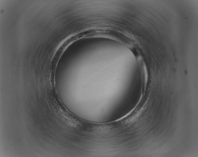 X0000070860830200606231251