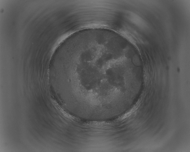 X0000070860831200606231251