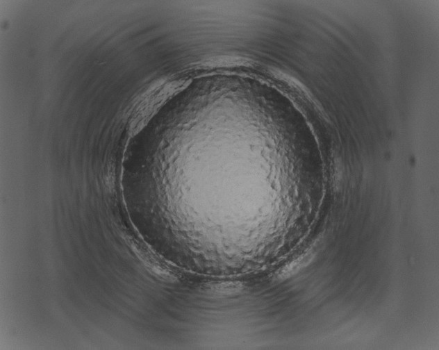 X0000070860833200606231251