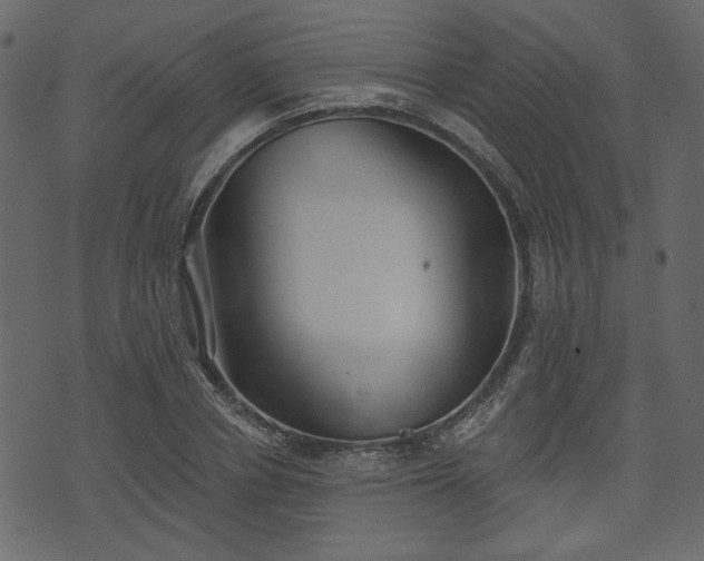 X0000070860834200606231251