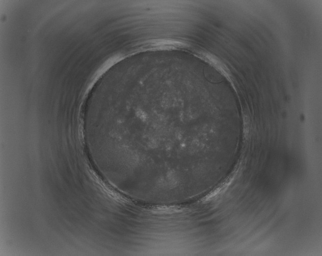 X0000070860835200606231251