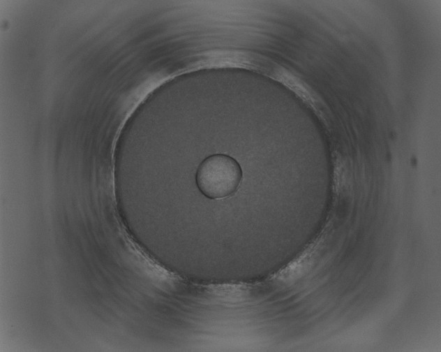 X0000070860836200606231251