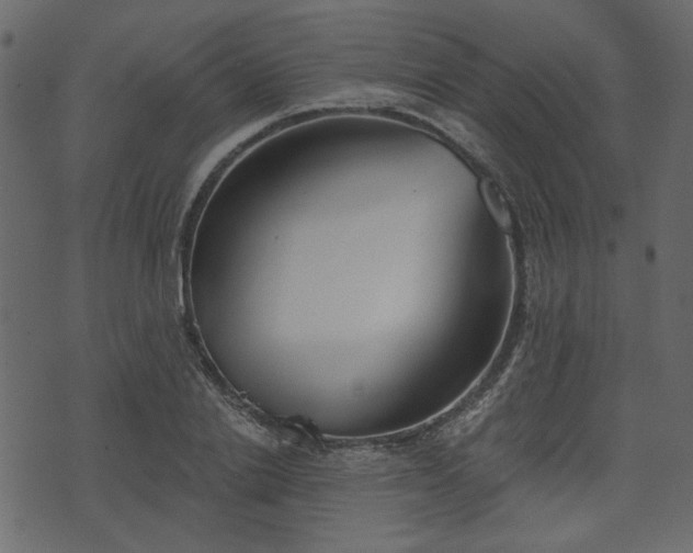 X0000070860838200606231251