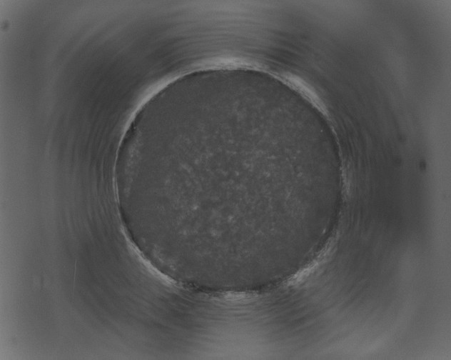 X0000070860839200606231251